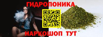молекула духа Краснодар